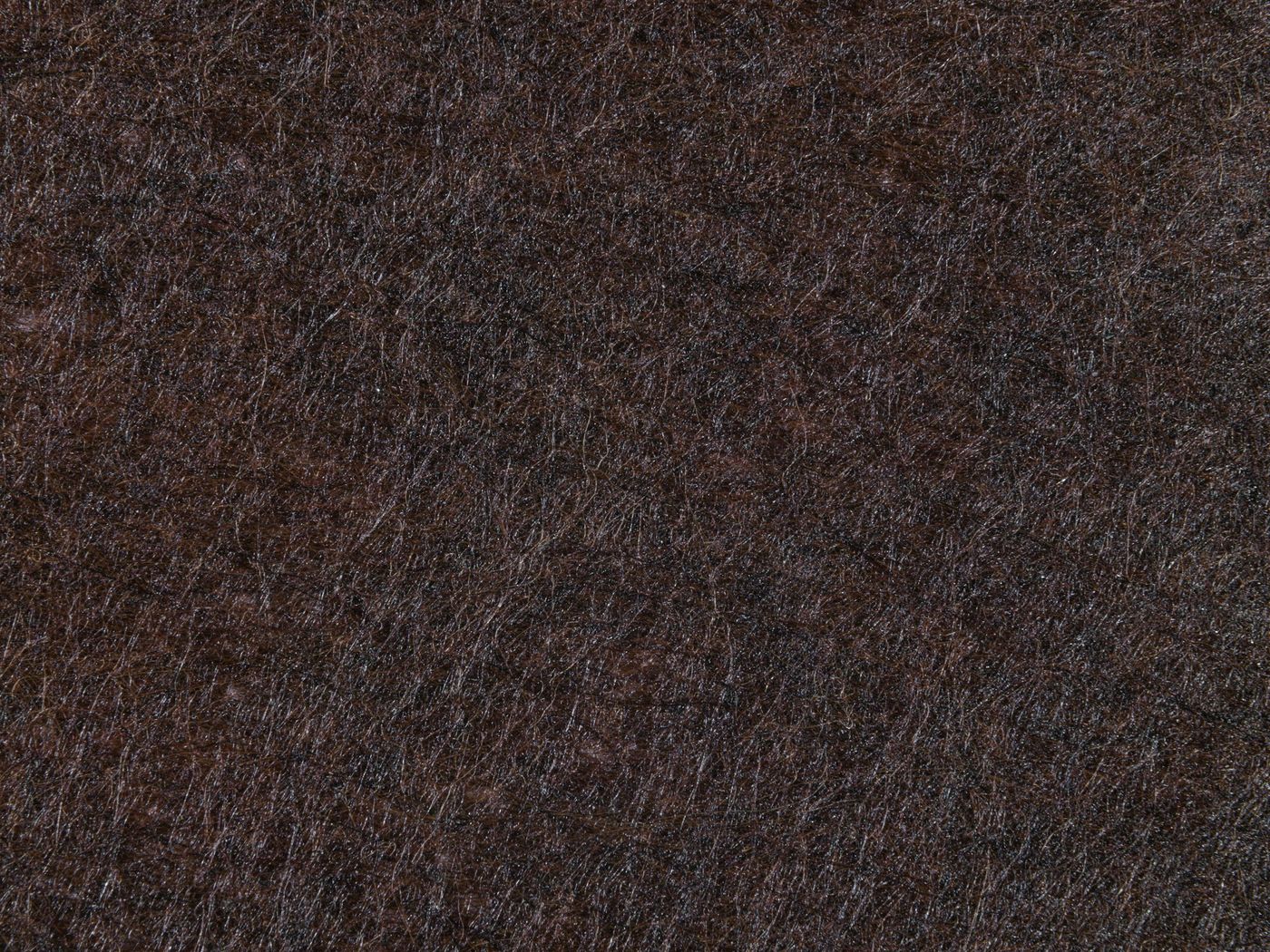 Close-up of eco-friendly wool carpet