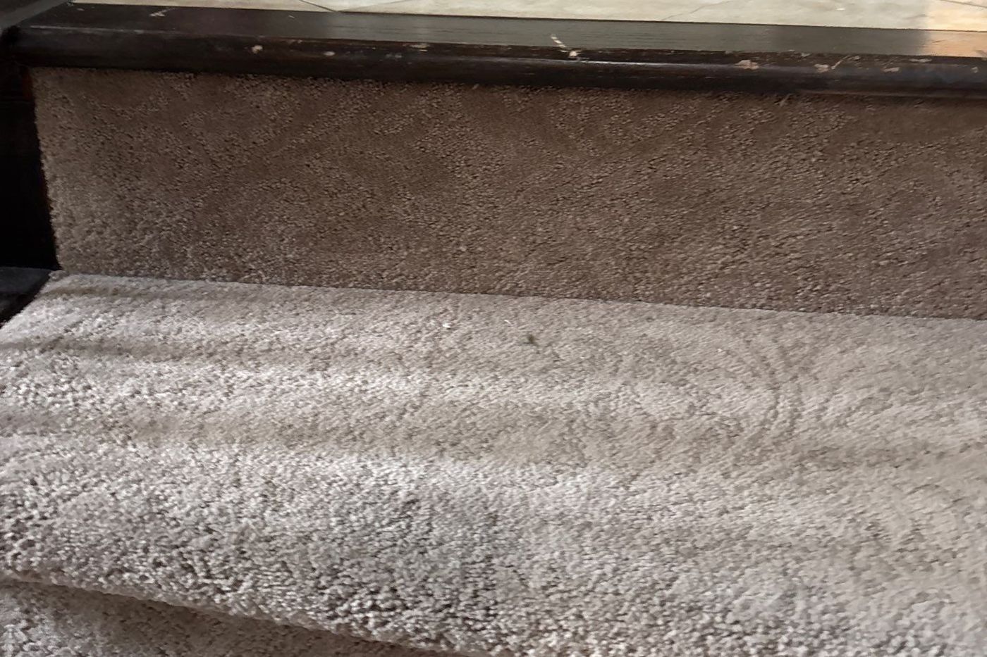 Close view of the new carpet on a Lone Tree stair