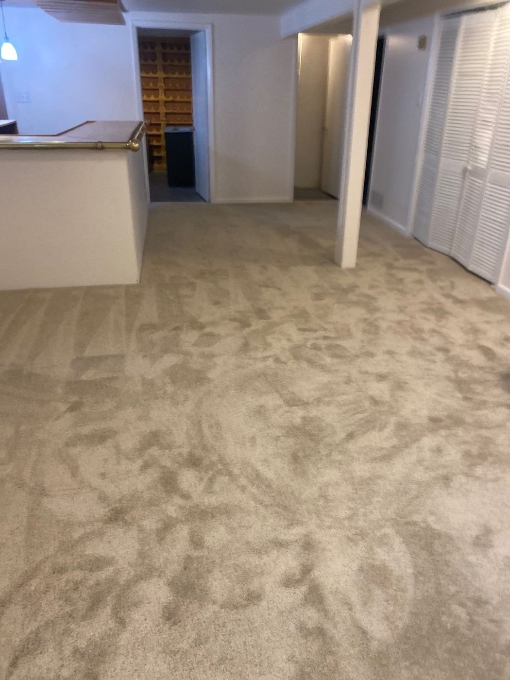 Basement in Littleton with new carpet